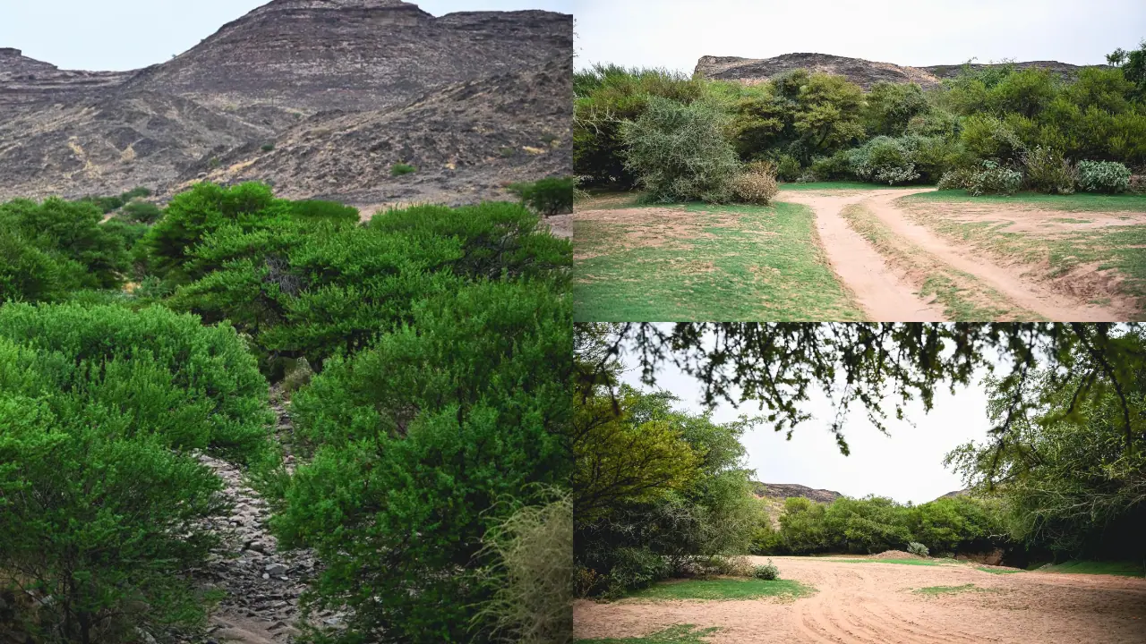 saudi arabias Haras Valley saudi arabias Haras Valley