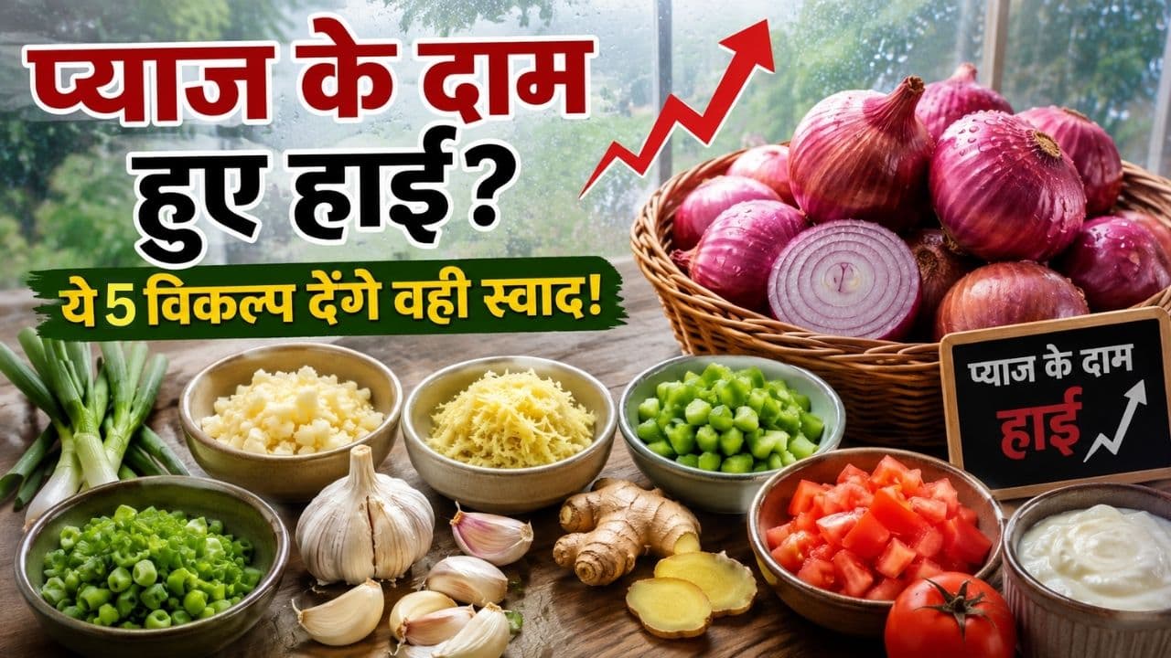 onion price hike monsoon onion substitutes onion price hike monsoon onion substitutes