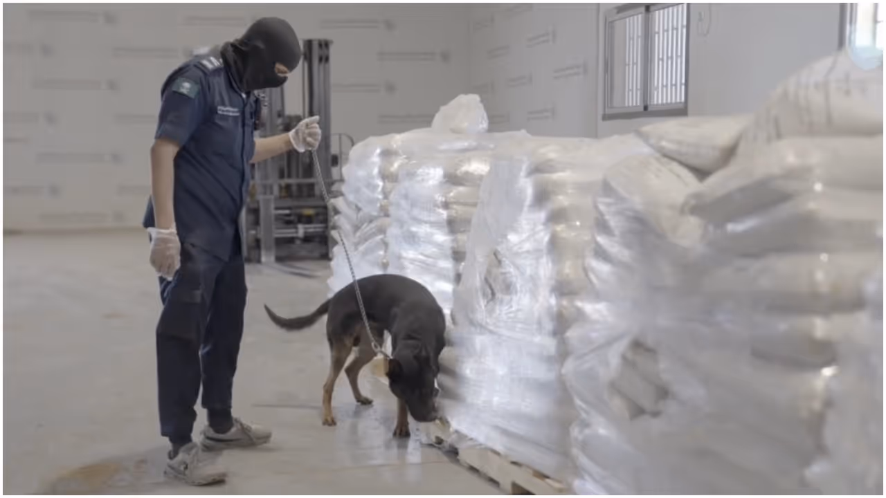 drugs seized drugs seized