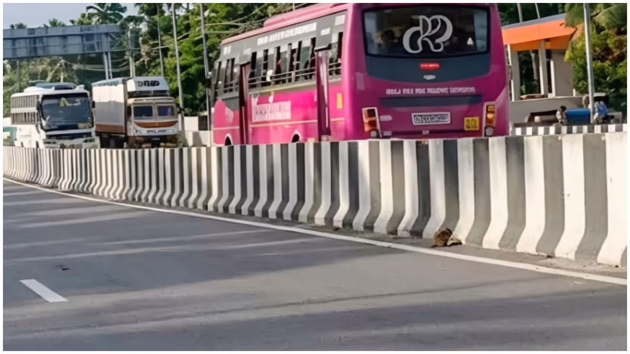 bus fine bus fine