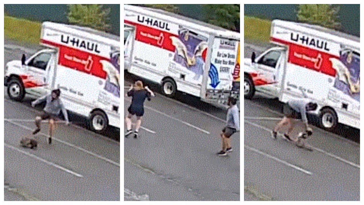 Mysterious creature attacks humans in New Hampshire Mysterious creature attacks humans in New Hampshire