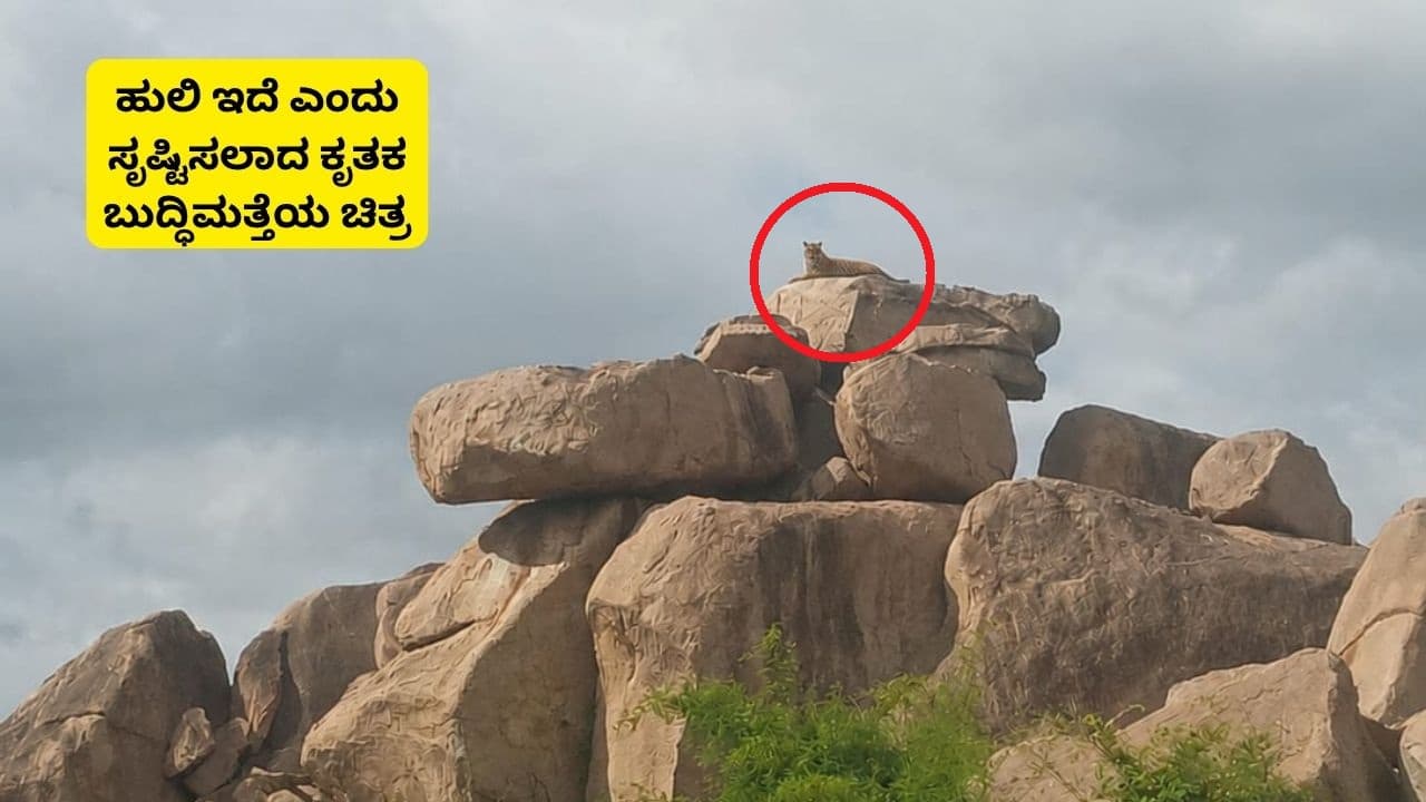 Koppal Tiger Koppal Tiger
