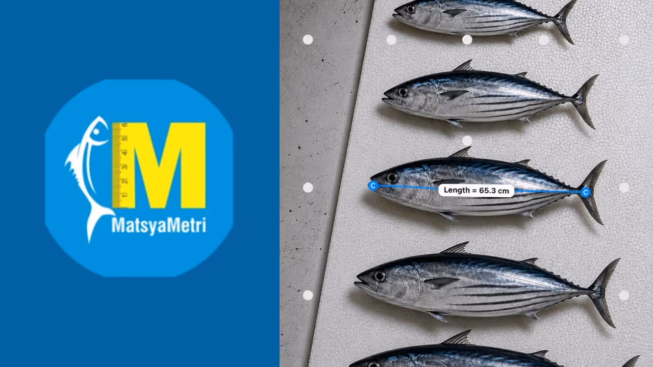 Matsyametri Matsyametri