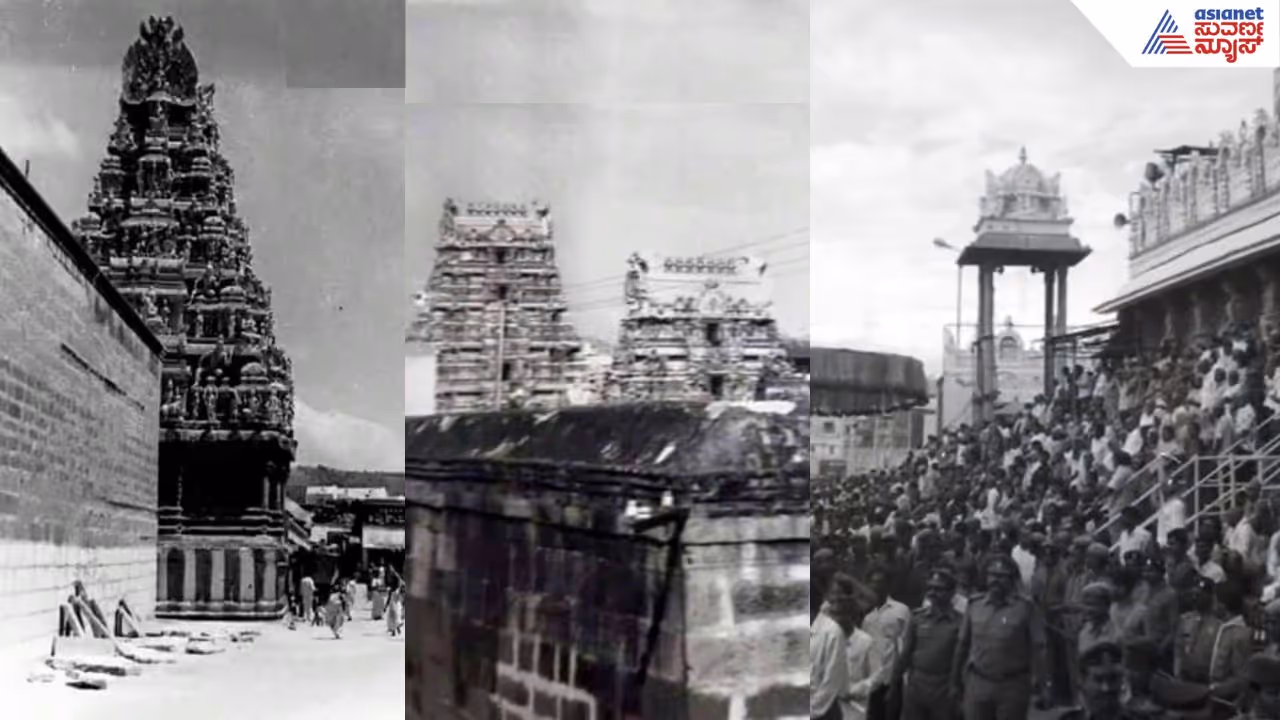 tirumala tirumala