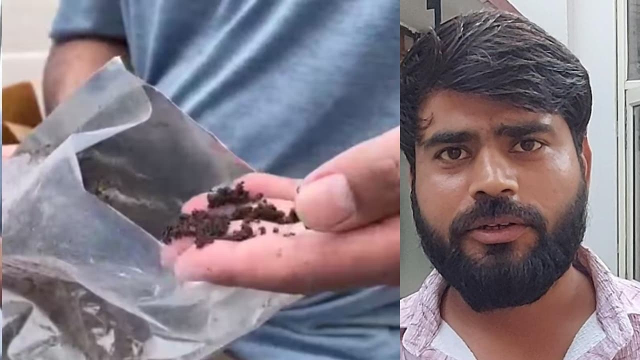 cow dung cow dung