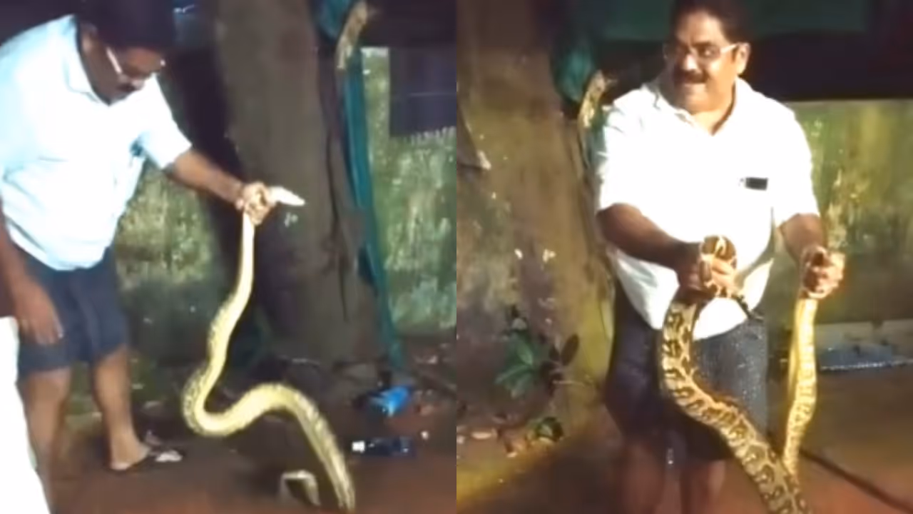 Saji manjakadamban Saji manjakadamban