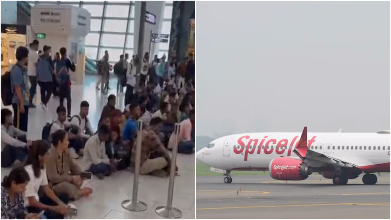 spicejet spicejet