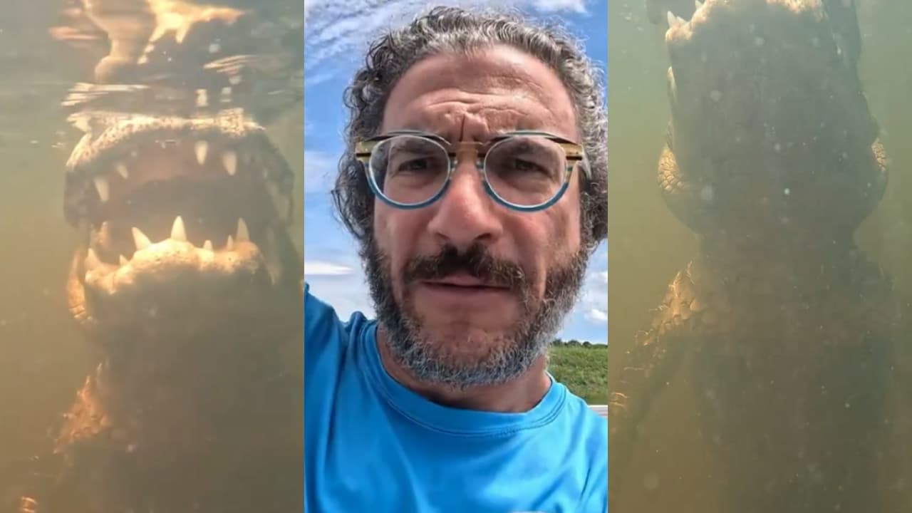 Canadian Vlogger’s Underwater Alligator Footage Reveals Hidden Size