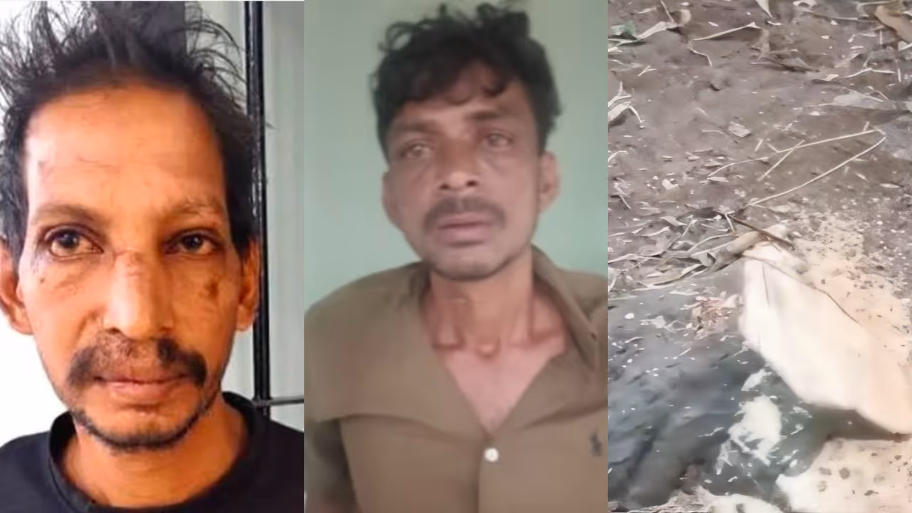 sandalwood tree cut down in trivandrum property two held sandalwood tree cut down in trivandrum property two held