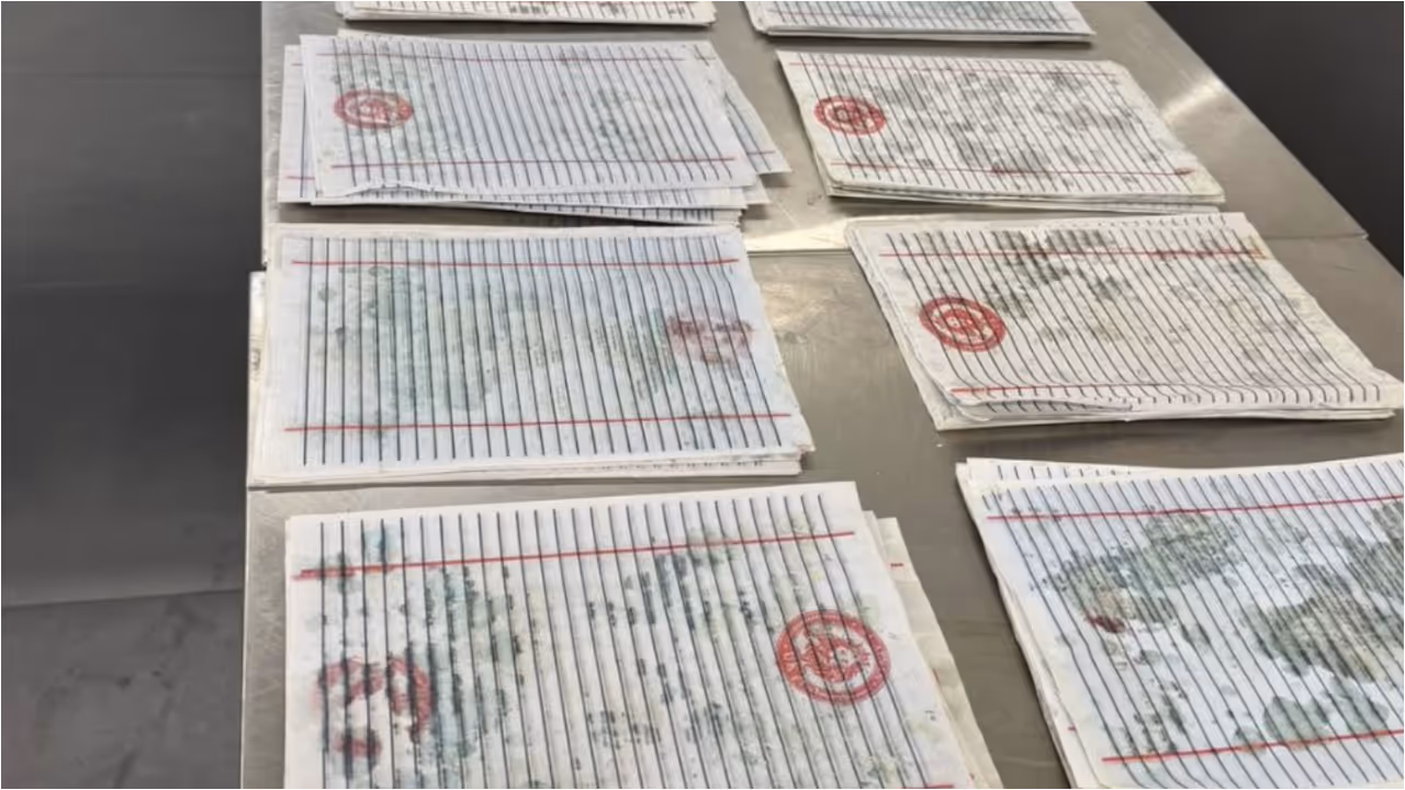 drugs seized drugs seized