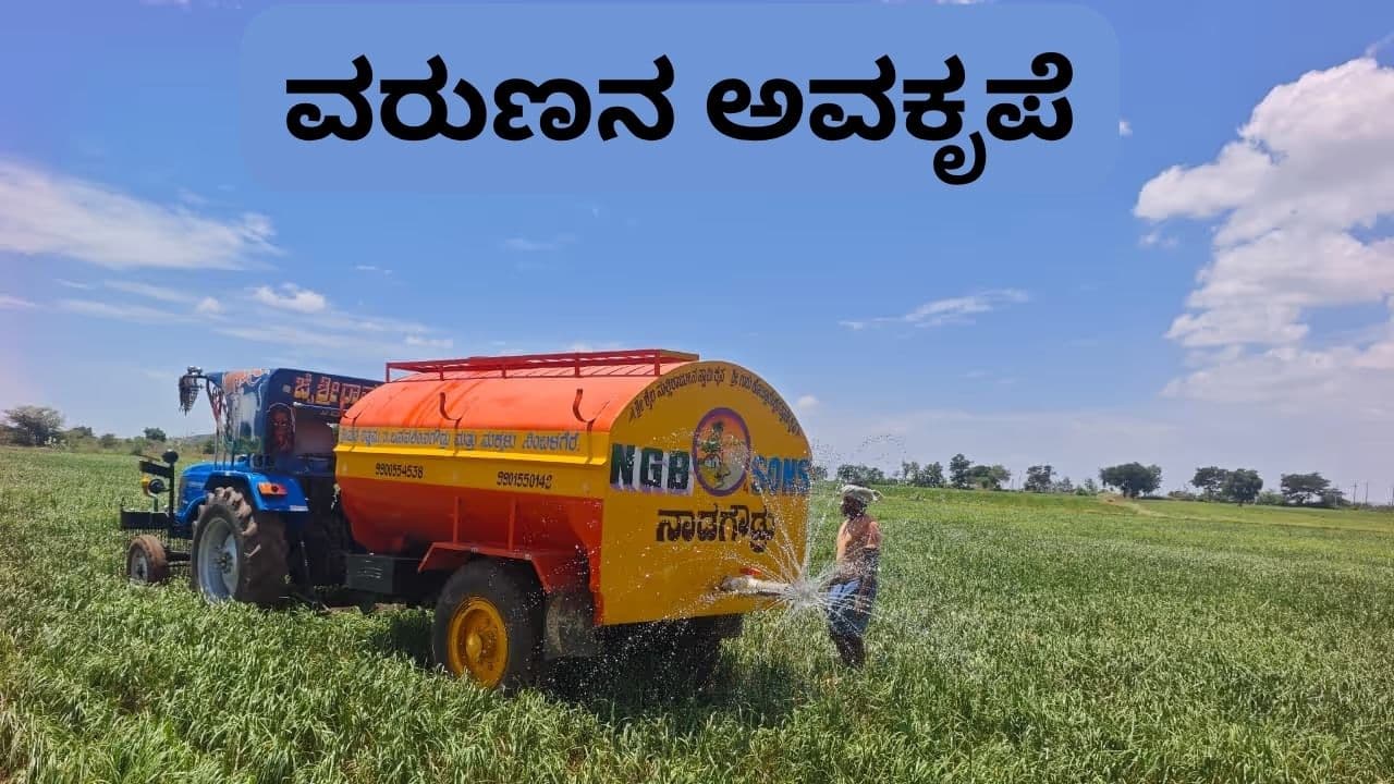 Farmers Farmers