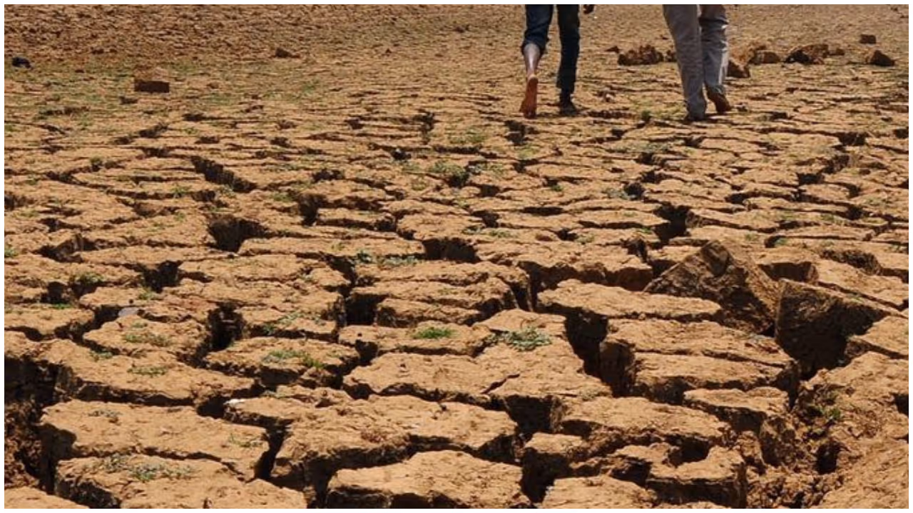 maharashtra drought maharashtra drought