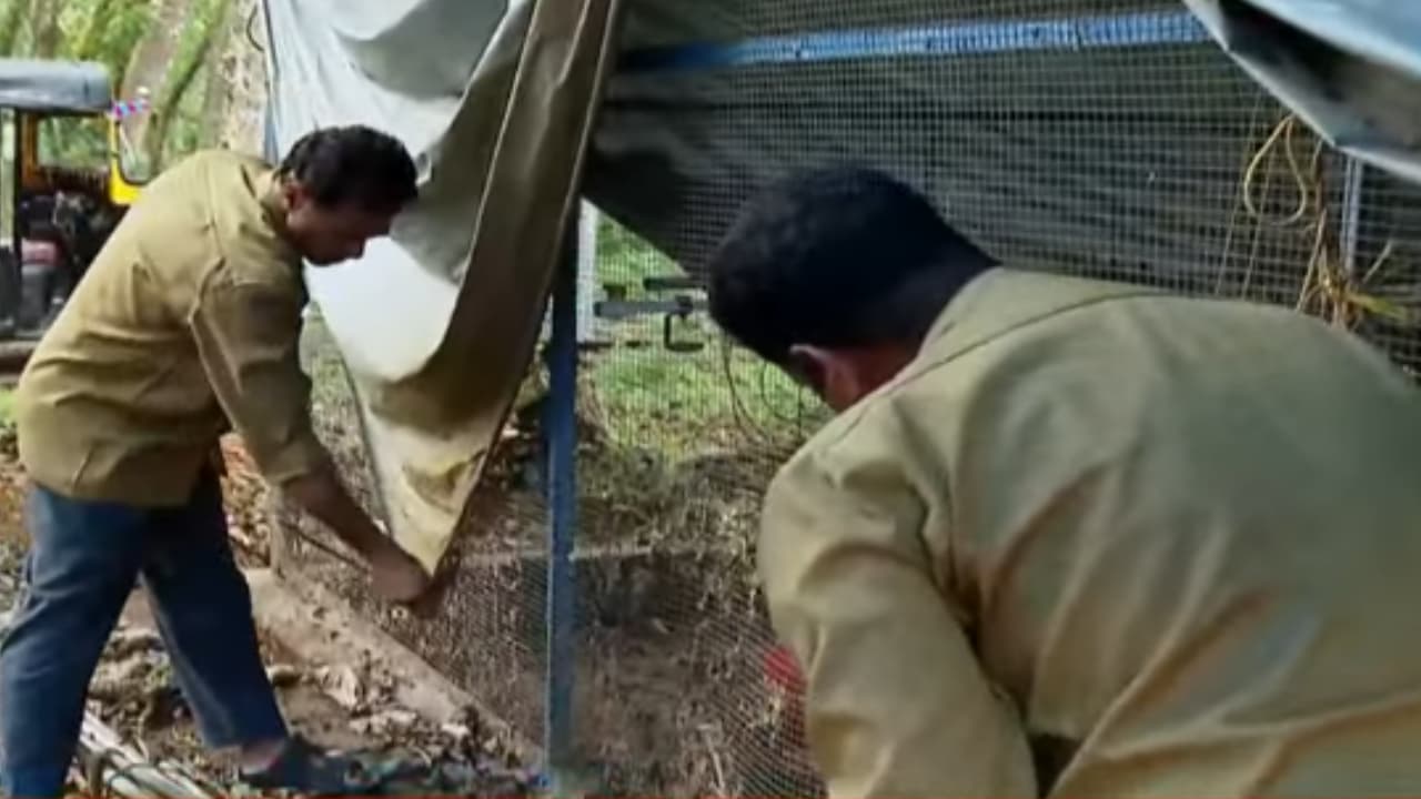 kannur cherupuzha poultry farm destroyed in flash flood compensation delayed kannur cherupuzha poultry farm destroyed in flash flood compensation delayed