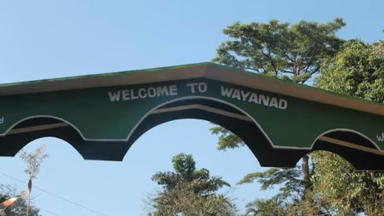wAYANADU wAYANADU
