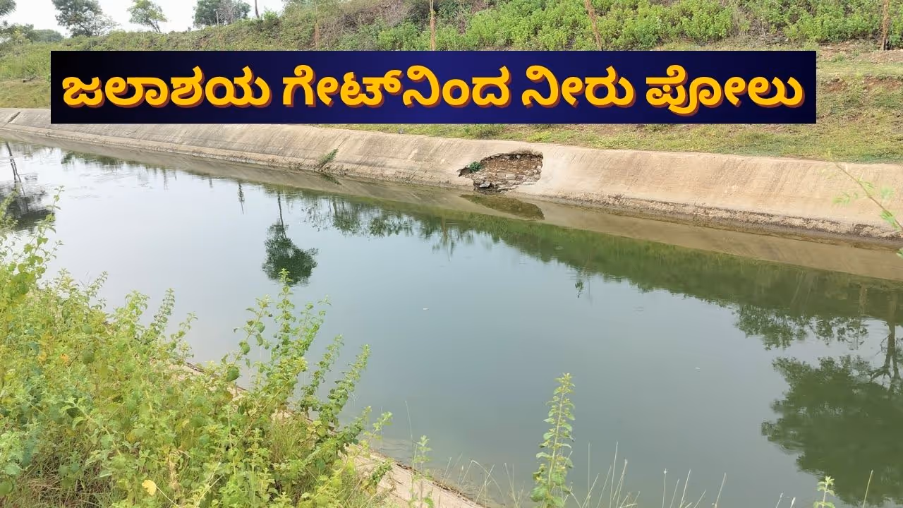 Gandori Nala Dam Gandori Nala Dam