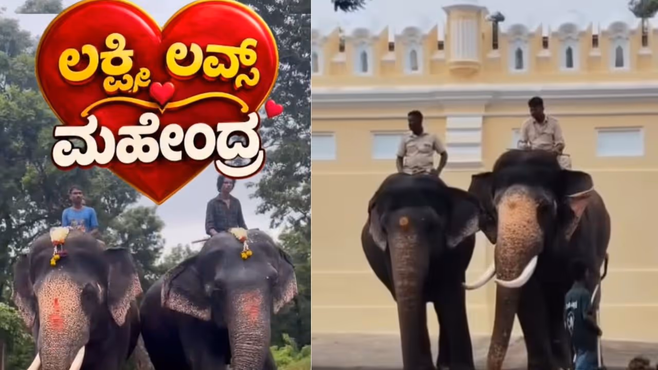 Mysuru Dasra Mysuru Dasra