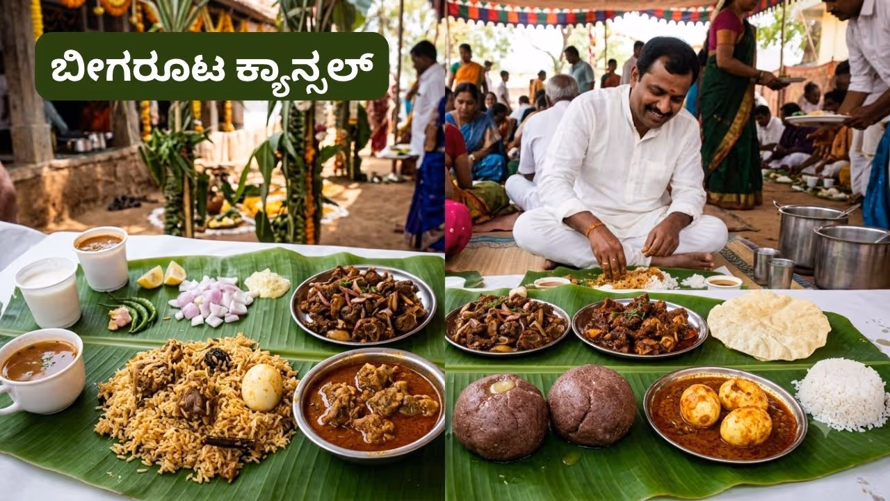 Non Veg Non Veg