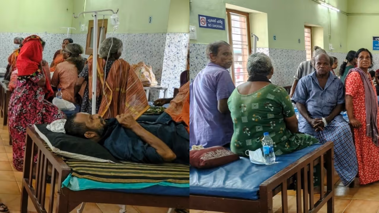 bee attack injures 19 thozhilurap workers in thiruvananthapuram bee attack injures 19 thozhilurap workers in thiruvananthapuram