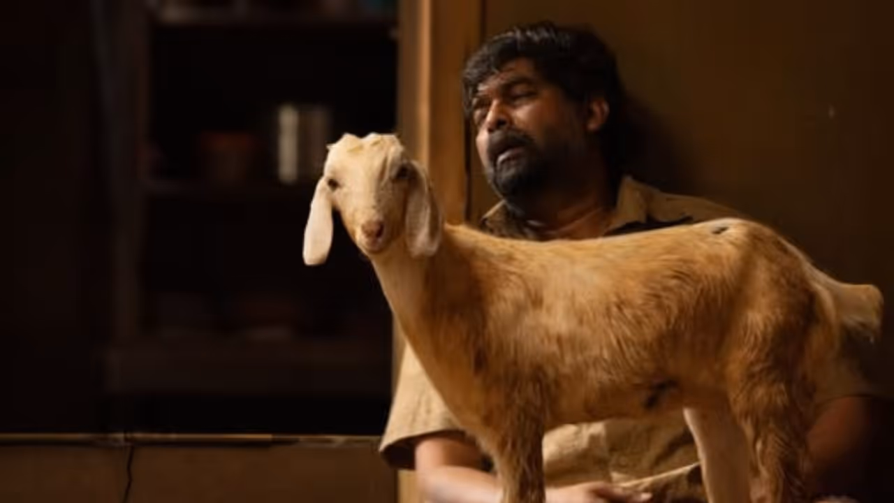 Aja Sundari Aja Sundari