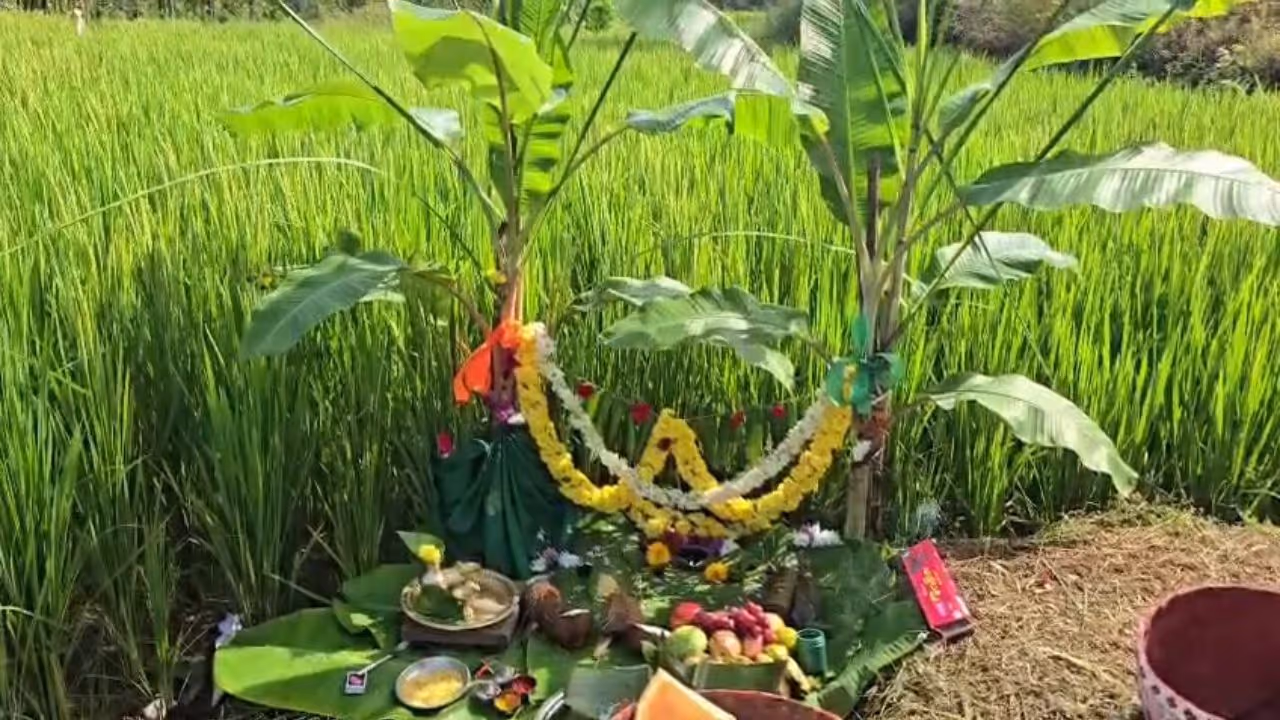 Bhoomi Hunnime Bhoomi Hunnime