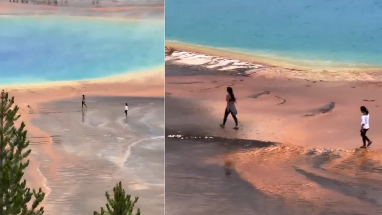 Mystery of the Living Rainbow Hot Spring Mystery of the Living Rainbow Hot Spring