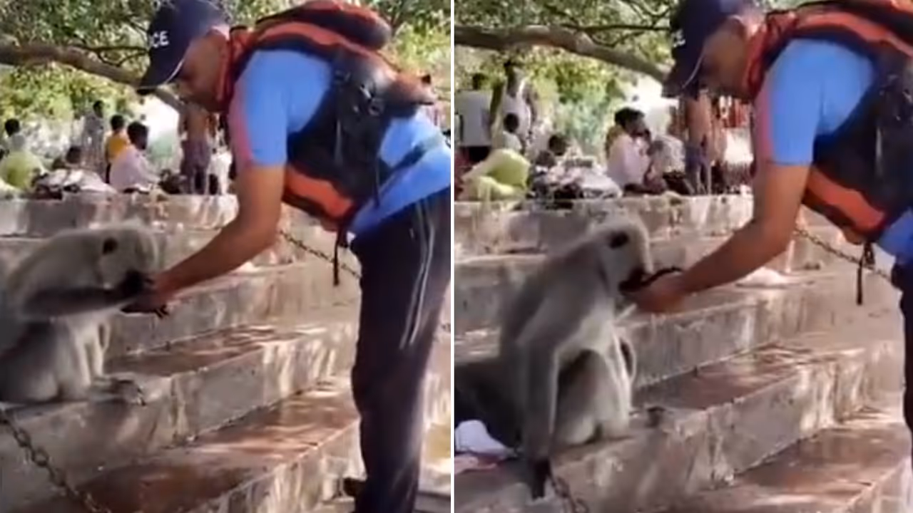 Viral Video: Uttarakhand Policeman Gives Water To Monkey In Extreme Heat, Win's Hearts Online | WATCH Viral Video: Uttarakhand Policeman Gives Water To Monkey In Extreme Heat, Win's Hearts Online | WATCH