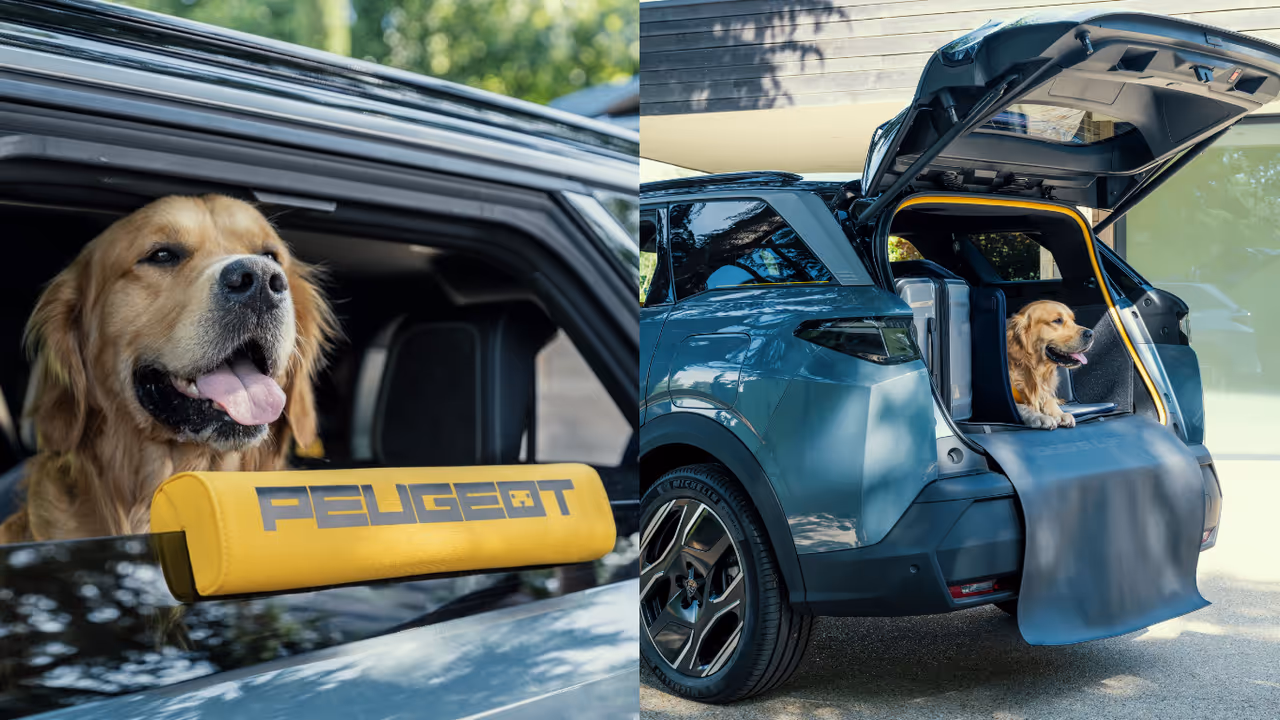Peugeot E 5008 Dog Edition Peugeot E 5008 Dog Edition