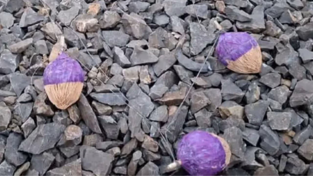 discovery of eight crude bombs along the railway line near Jidharpur village in the Siuri police station area of Birbhum district discovery of eight crude bombs along the railway line near Jidharpur village in the Siuri police station area of Birbhum district