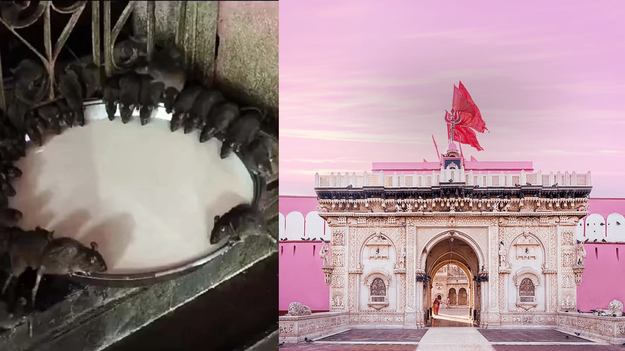 Karni Mata Temple Rat Kingdom Karni Mata Temple Rat Kingdom