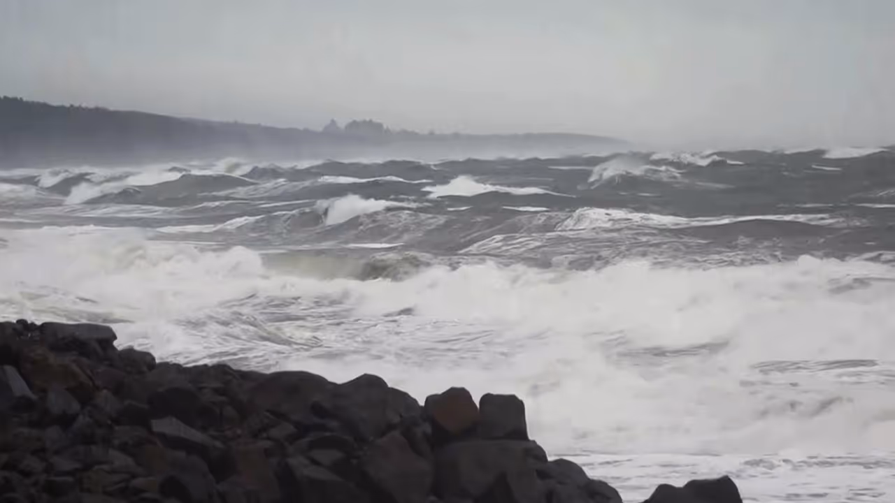 Cyclone Montha batters Andhra coast; evacuations underway in Odisha Cyclone Montha batters Andhra coast; evacuations underway in Odisha