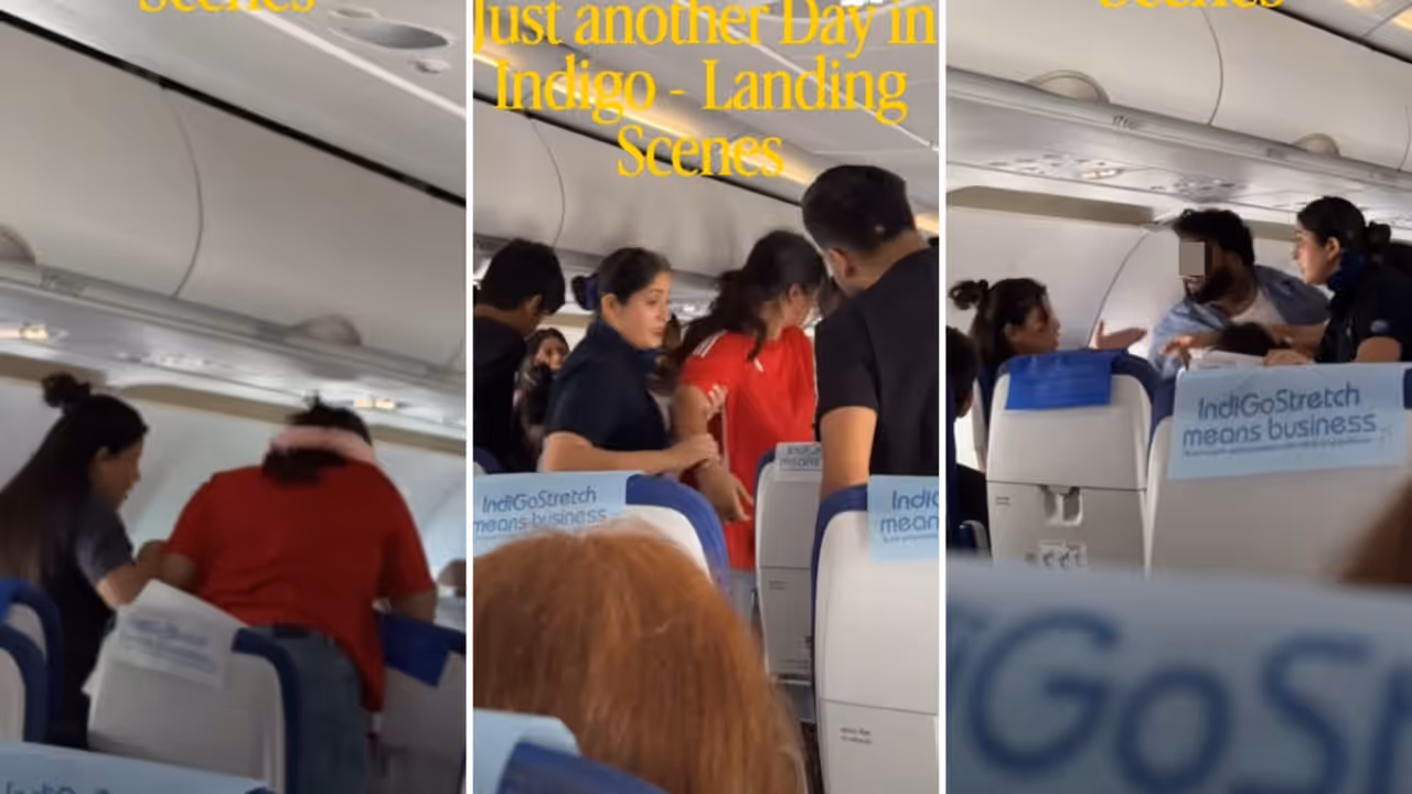 Viral IndiGo flight fight leaves passengers stunned, internet asks what started it Viral IndiGo flight fight leaves passengers stunned, internet asks what started it