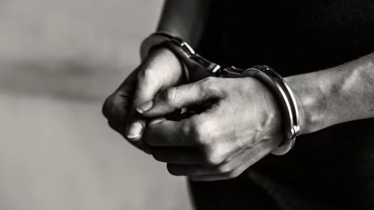 credit card fraud arrest 