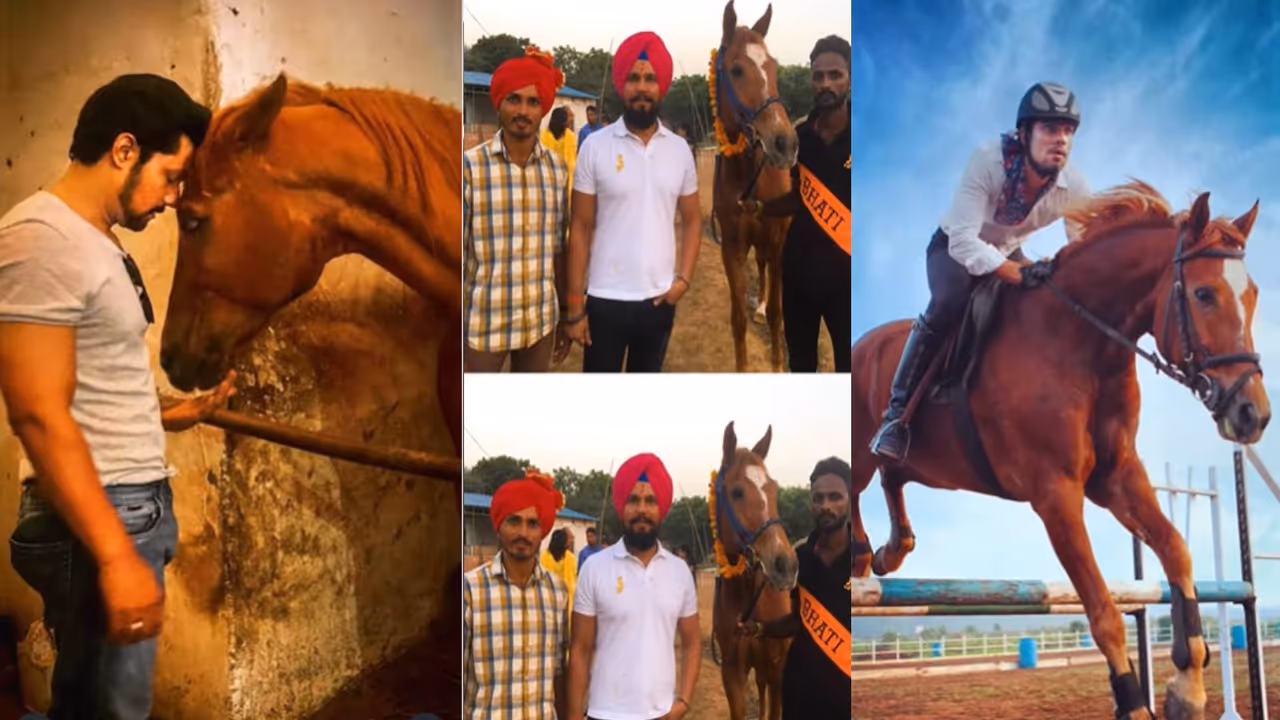 randeep hooda pet horse ranji passes away randeep hooda pet horse ranji passes away