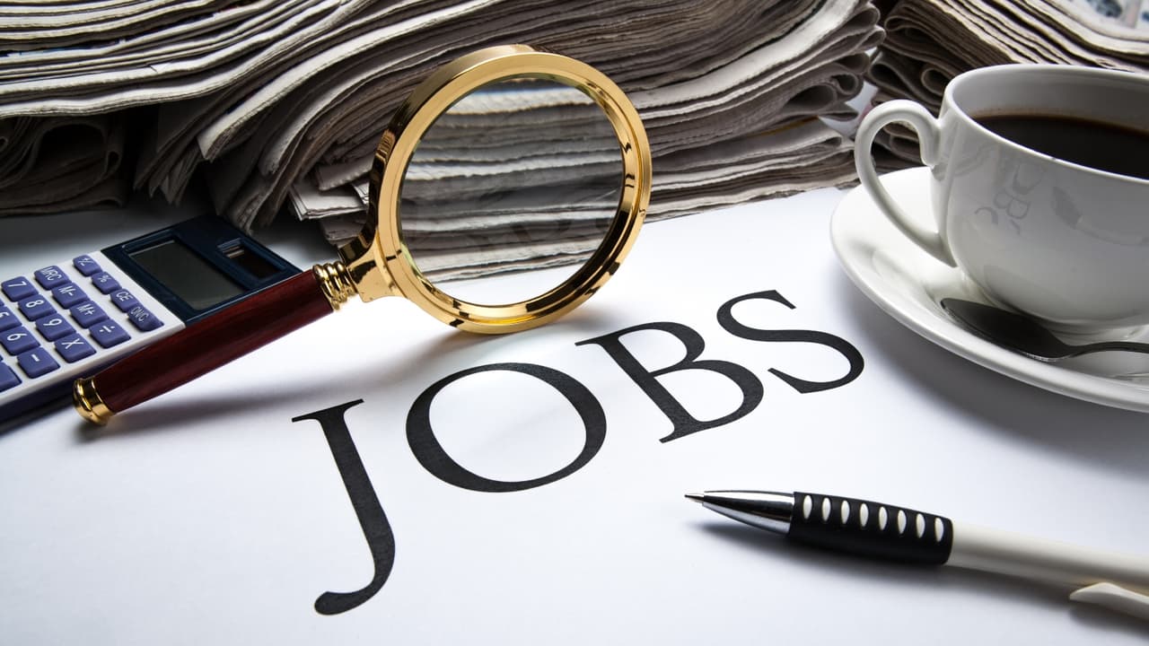 Top 7 Government Jobs August 2025