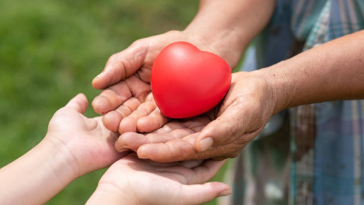 World Organ Donation Day