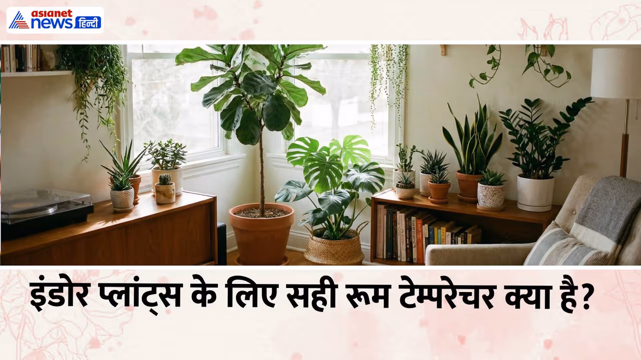 Indoor Plants Temperature