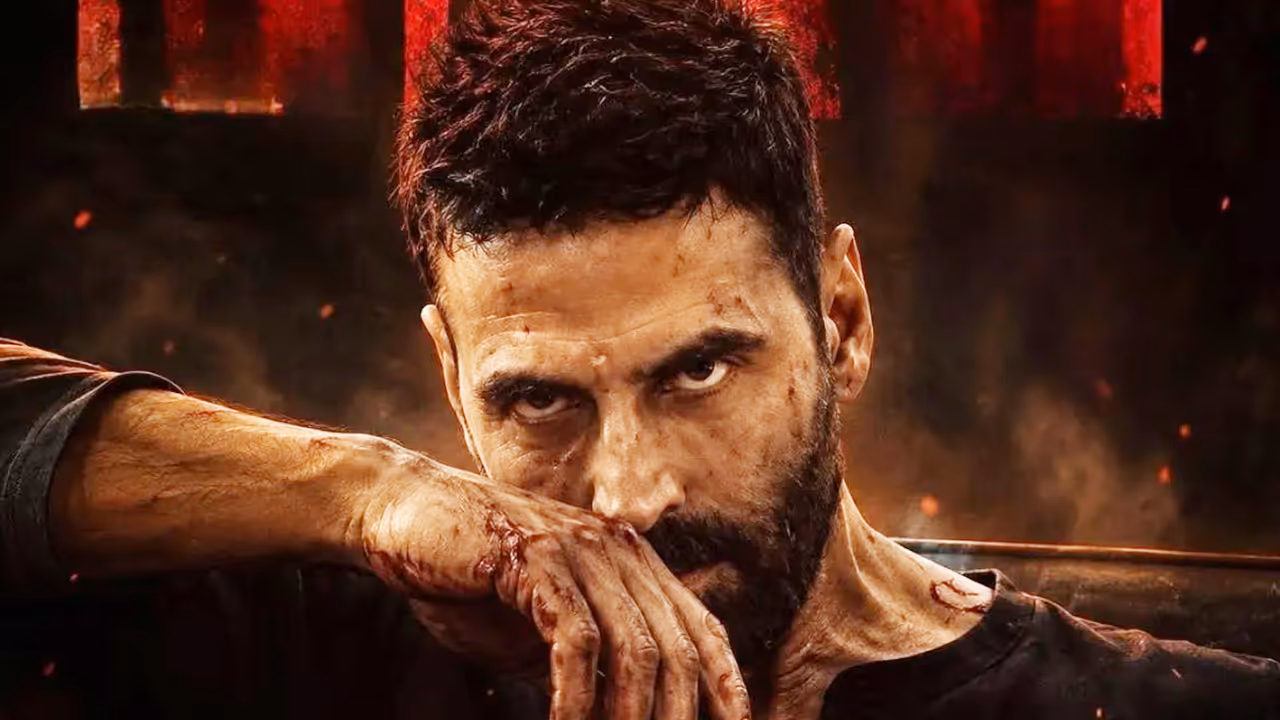 Akshay Kumar Haiwaan Box Office Report Akshay Kumar Haiwaan Box Office Report