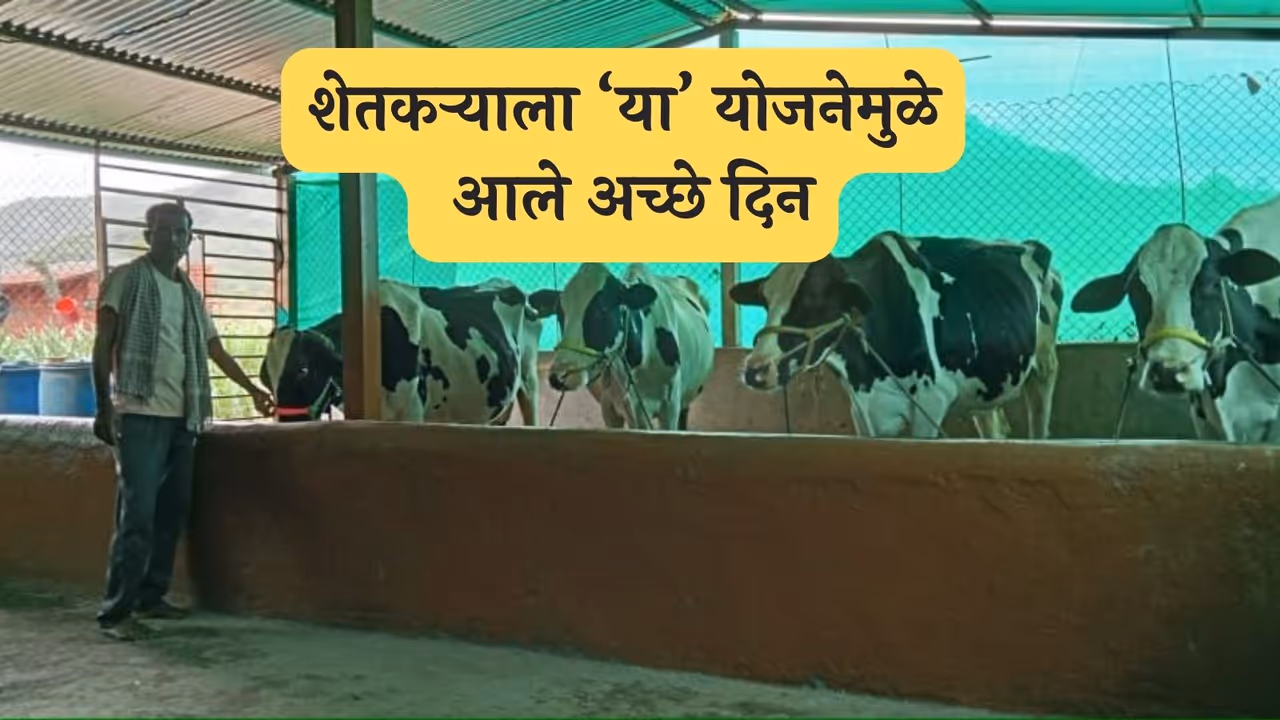 Maharashtra Govt Scheme 