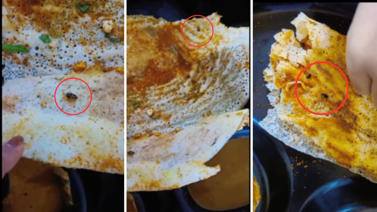 Madras Coffee House Viral Video Madras Coffee House Viral Video