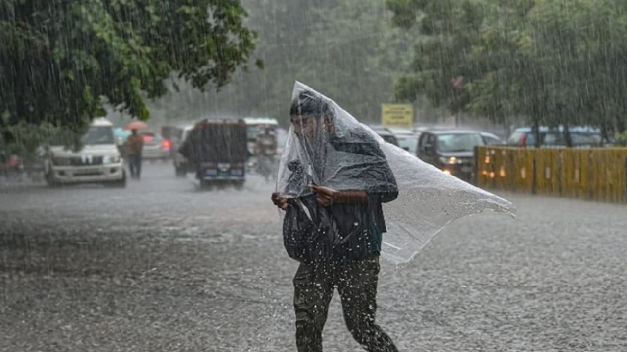 MP Rain Alert, Heatwave in MP