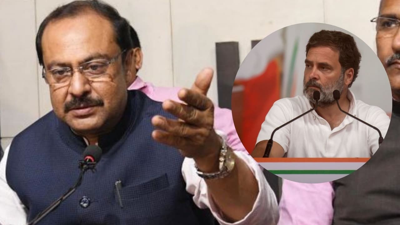 vIvek thakur and rahul gandhi vIvek thakur and rahul gandhi