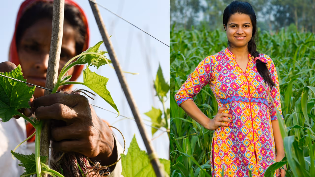 Rajasthan govt Agriculture Scholarship for Girls Rajasthan govt Agriculture Scholarship for Girls