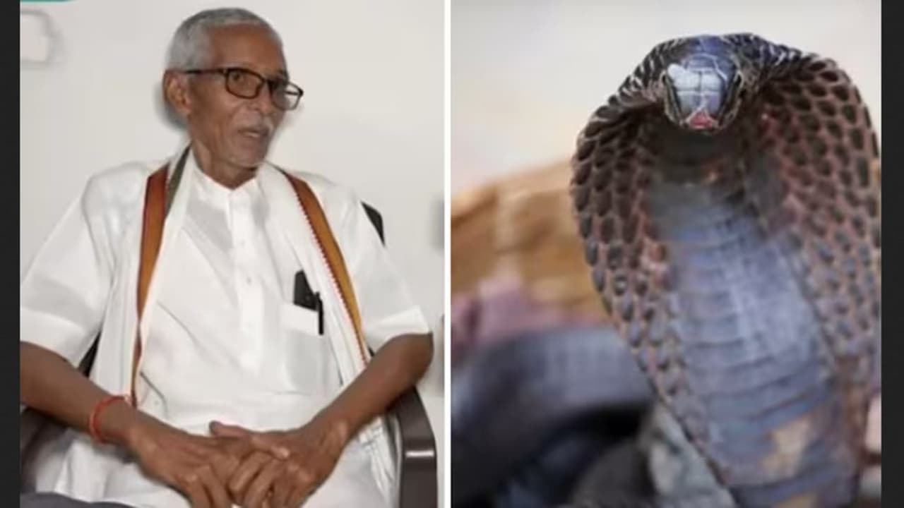 Seoni Snakebite Scam Seoni Snakebite Scam