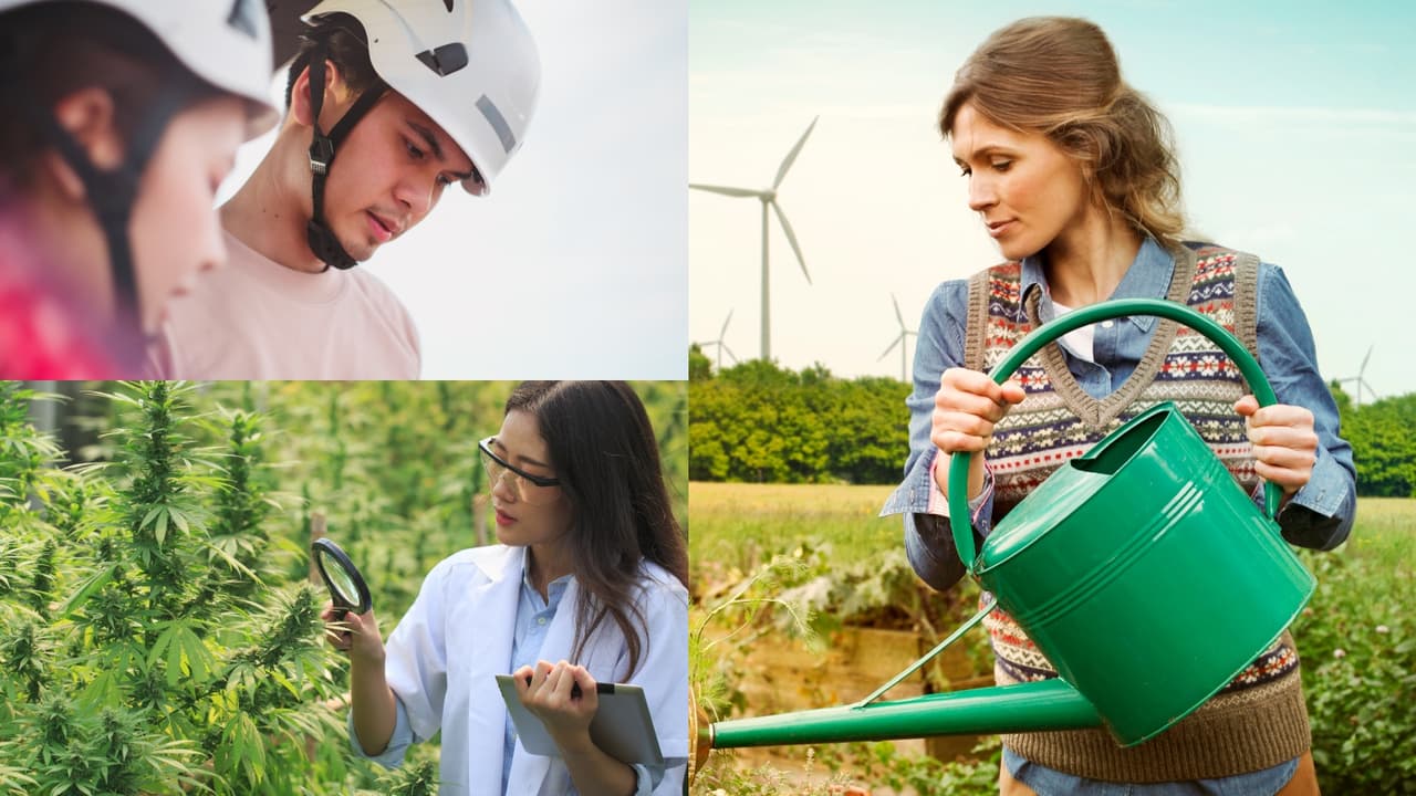 Environmental Field Career Options