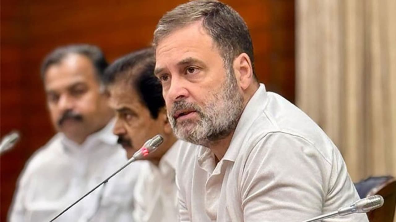 Congress Leader Rahul Gandhi