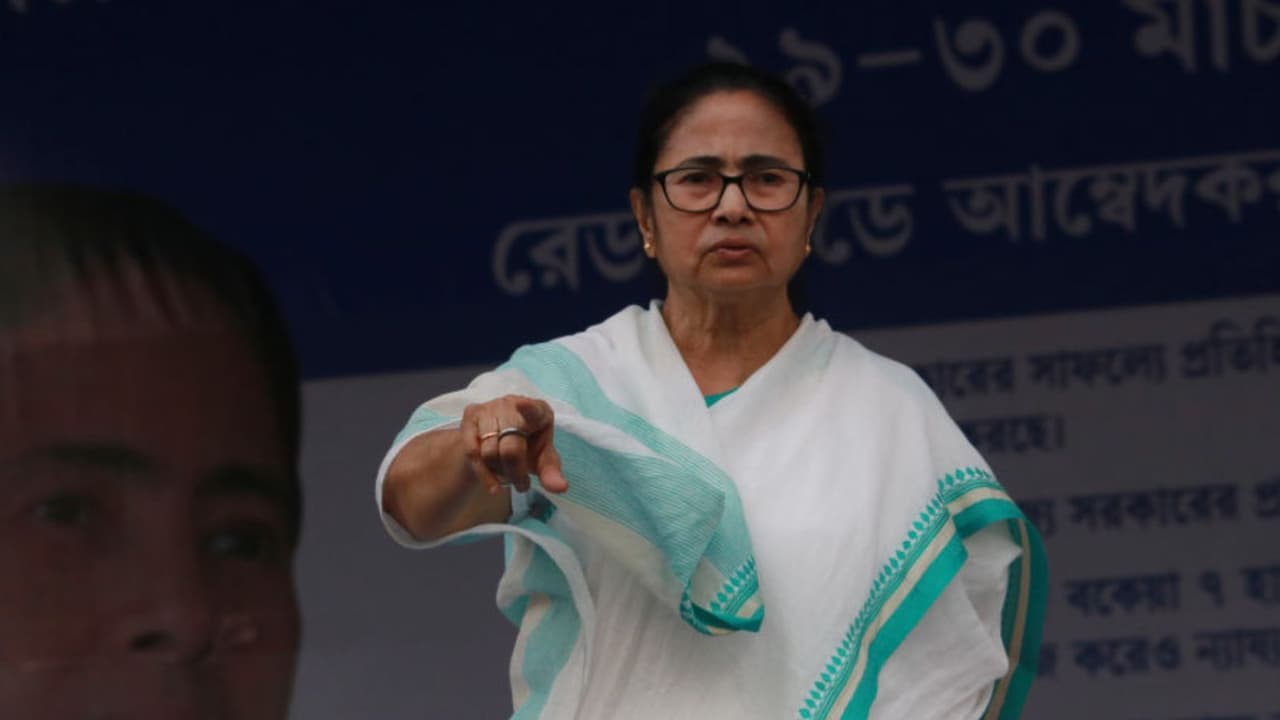 mamta banerjee