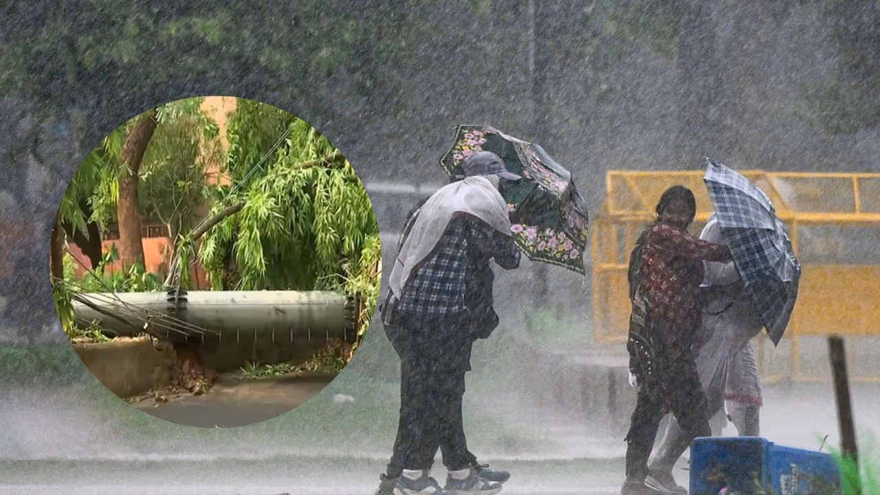 A mobile tower in Safdarjung Enclave fell last night as the city received gusty winds and heavy rainfall A mobile tower in Safdarjung Enclave fell last night as the city received gusty winds and heavy rainfall