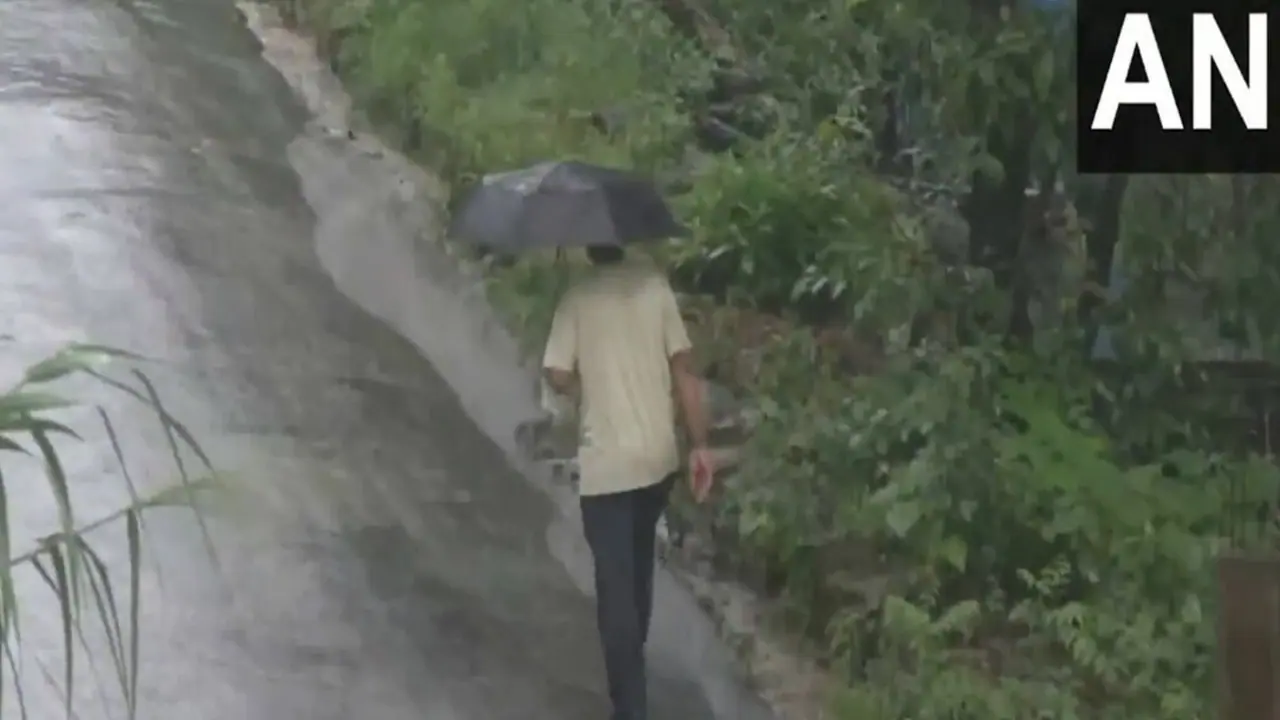Mandi experiences heavy rainfall 