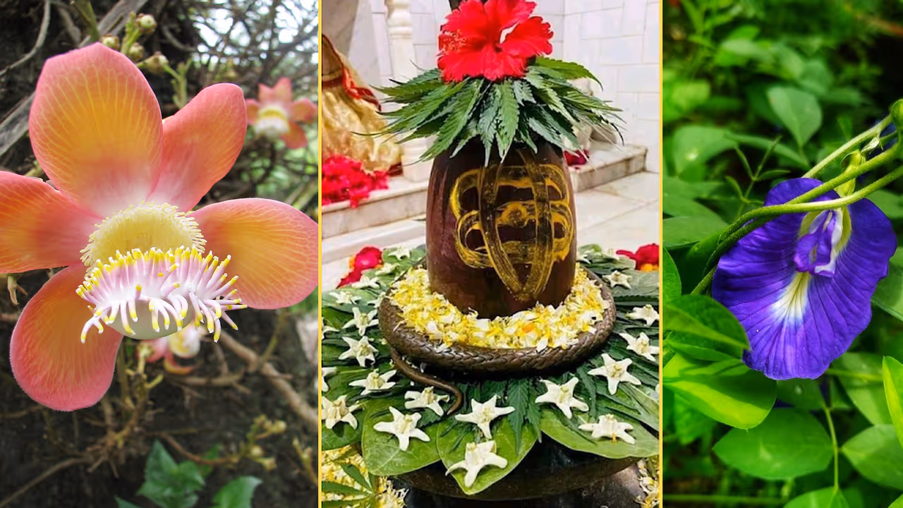 5 Favorite Lucky Plants Of Lord Shiva Bring in your Garden this Sawan 2025