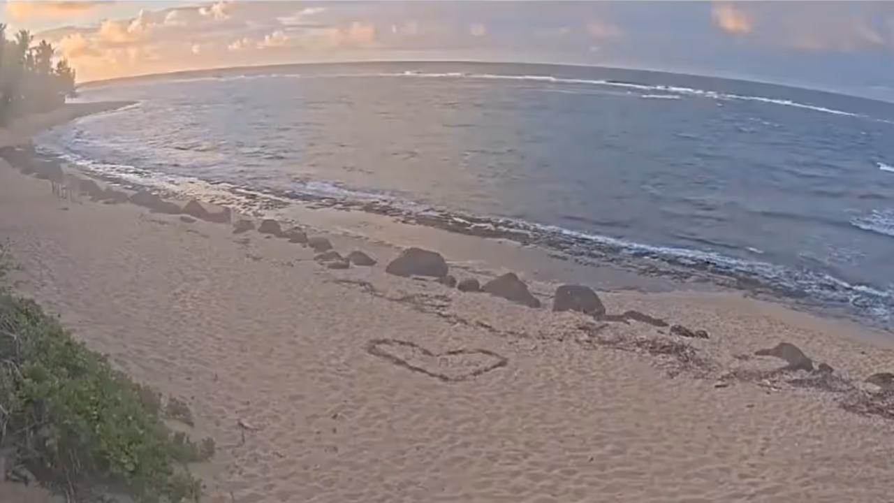 Tsunami Hits Hawaii